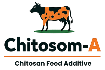 chitosom A